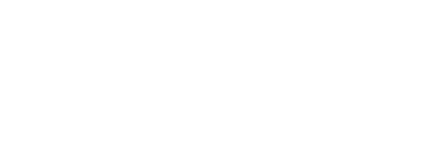 Universitat Politecnica de Valencia