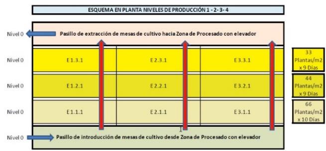 Arquitectura técnica y operativa del sistema EDEN