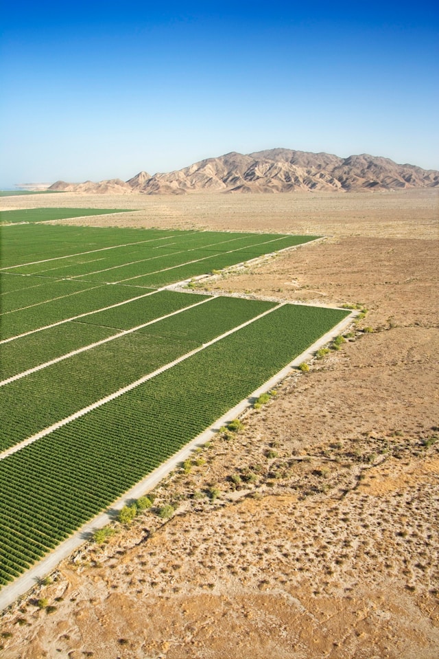 Impacto del proyecto GEMINIS en entorno agrícola