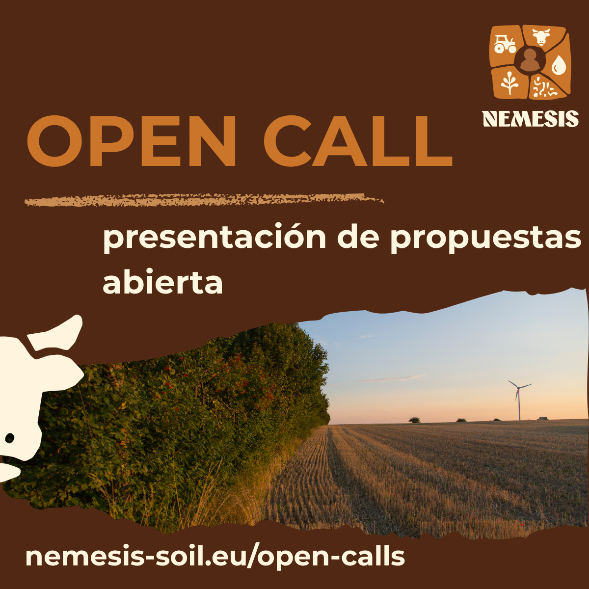 NEMESIS Open Call